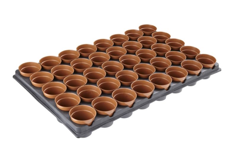 BandQ 40 Pot Seed and Potting On Tray