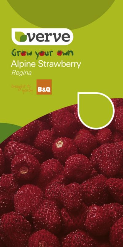 Verve Grow Your Own Alpine Strawberry Regina