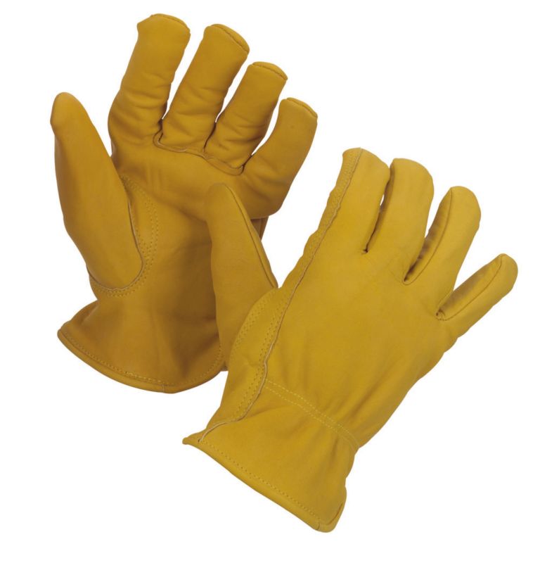 BandQ Ladies Premium Leather Glove
