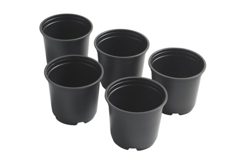 Value Seed Pots Pack Of 5