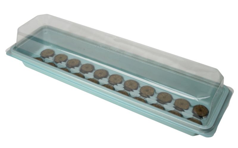 Sow And Grow Propagator Blue