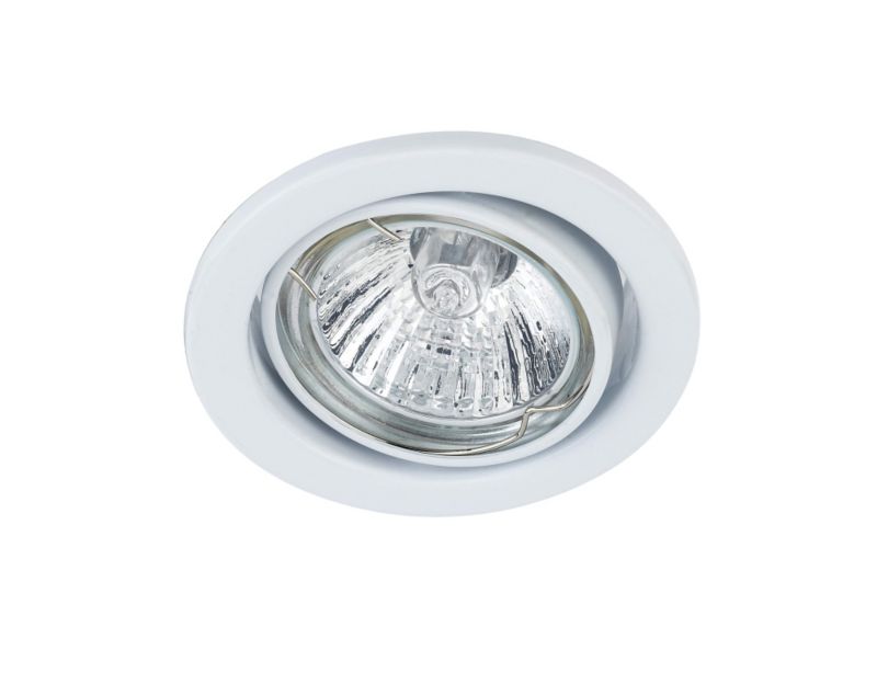 Low VoLightage White Pressed Steel Plated Tilting Downlight
