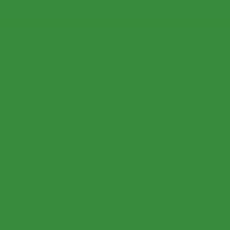 Plasti kote Fast Dry Enamel Brush On Garden Green 59ml