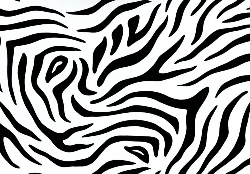 Sticky Back Plastic Zebra