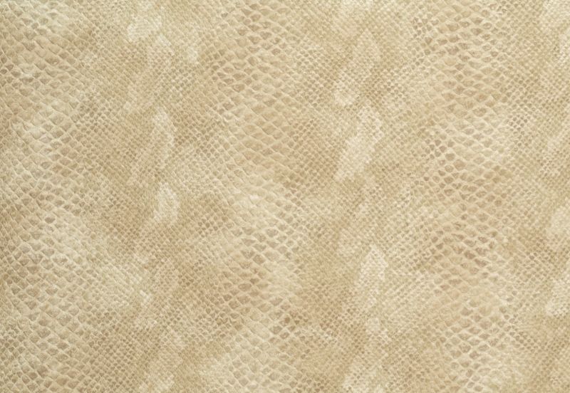 Sticky Back Plastic Snakeskin Textured Effect Boa Beige