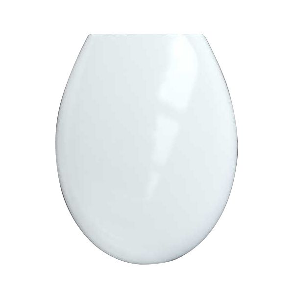 Toilet Seat New Soft Close Pure Basil