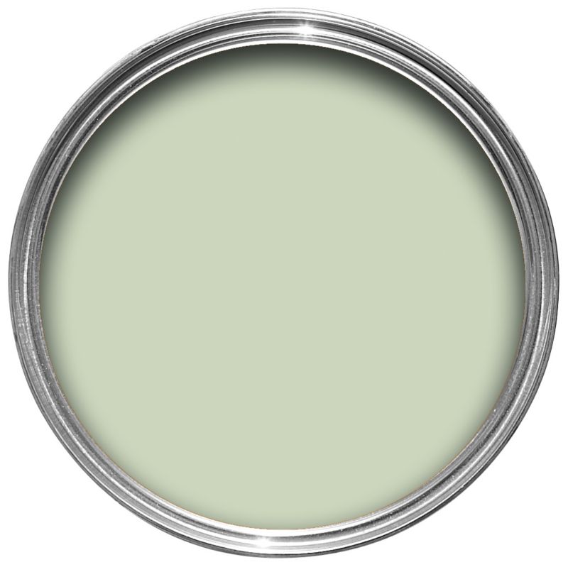 Dulux Endurance Silk Willow Tree 5L