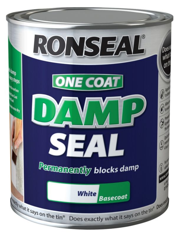 Ronseal One Coat Anti Damp Paint White