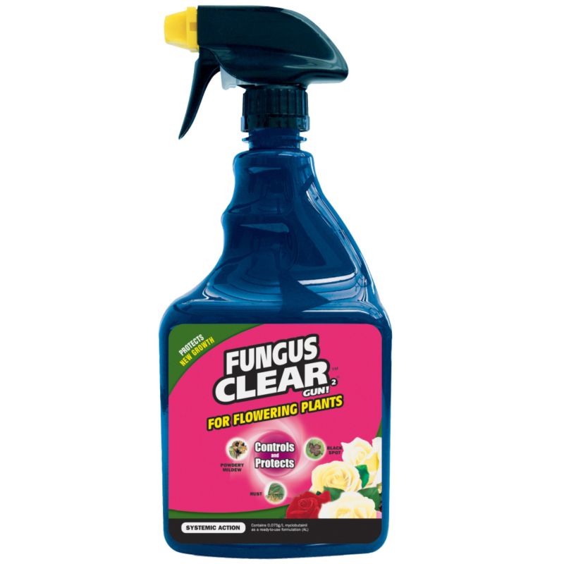 Fungus Clear RTU 012010