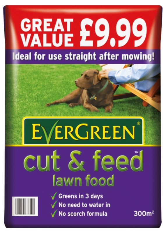 Evergreen Cut and Feed 017342