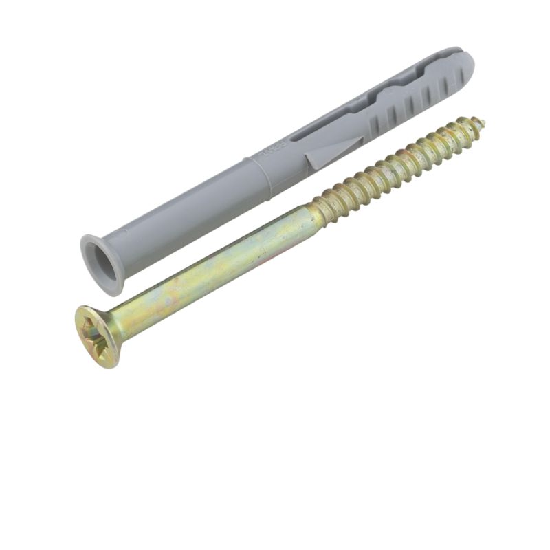 Rawlplug Frame Fixing 21383 10mm x 100mm