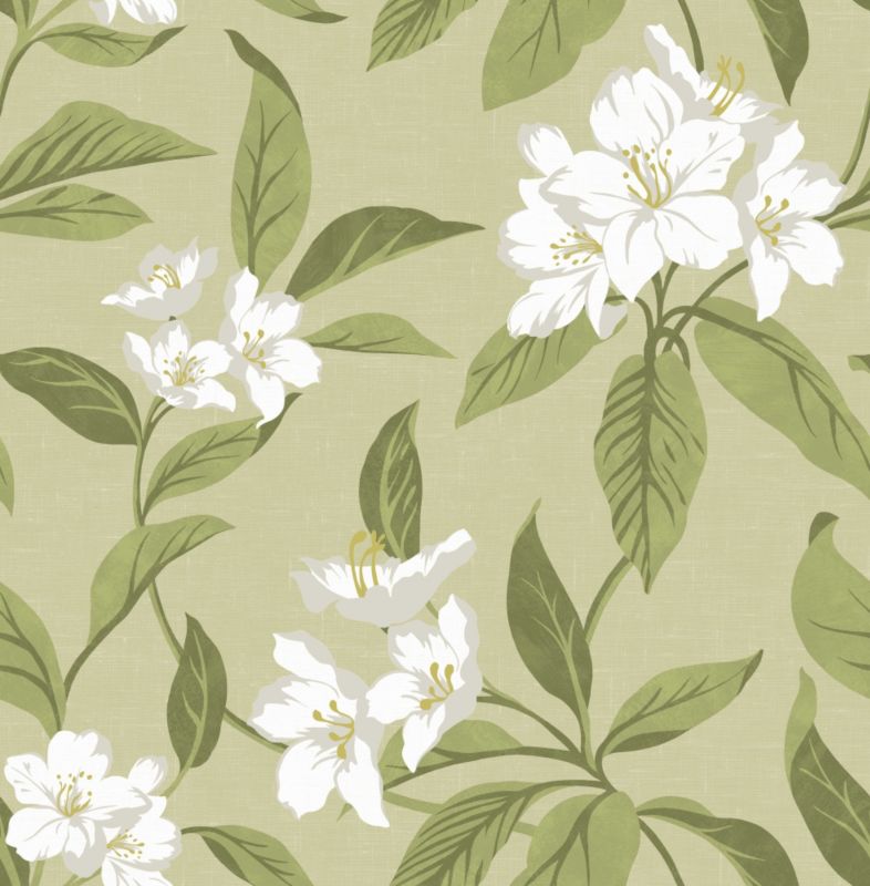 Hawaii Wallpaper CreamGreen 1005M