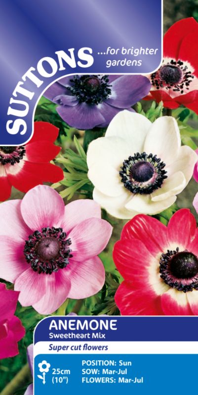 Suttons Anemone Gt Single Mixed