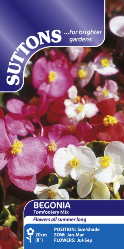 Suttons Begonia Tomfoolery