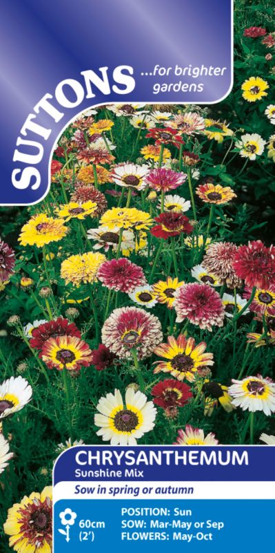Suttons Chrysanthemum Annual Mix