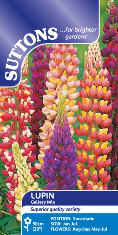 Suttons Lupin Gallery Mix Mixed