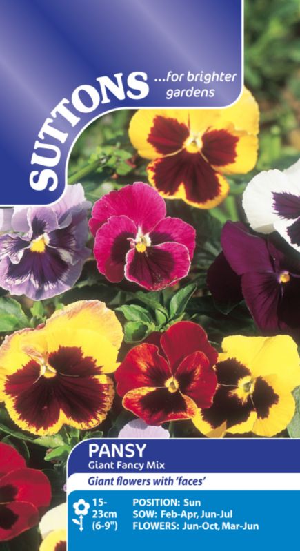 Suttons Pansy Giant Fancy Mix Mixed