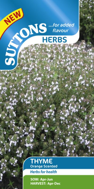 Suttons Herb Thyme Orange Scented