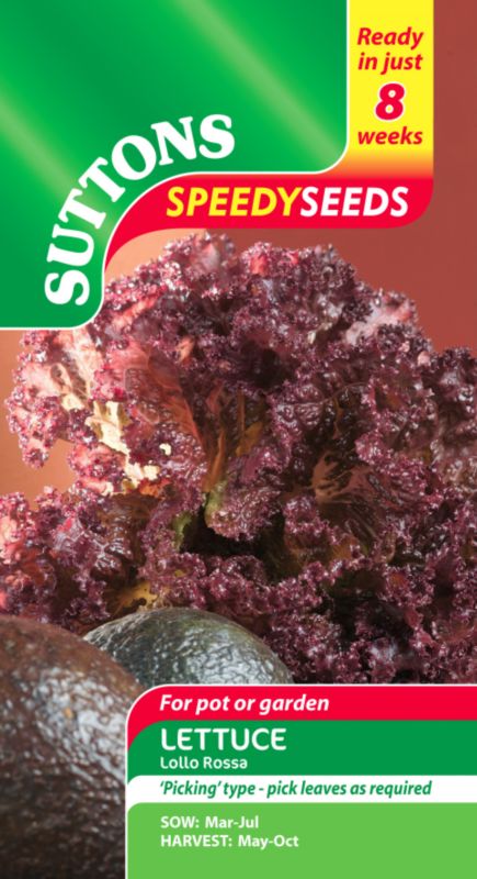 Suttons Speedy Seeds Lettuce Lollo Rossa