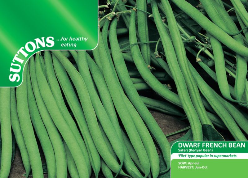 Suttons Dwarf French Bean Safari Kenyan Bean