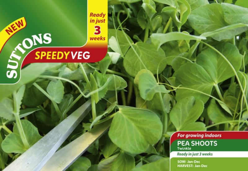 Speedy Veg Pea Shoots Twinkle