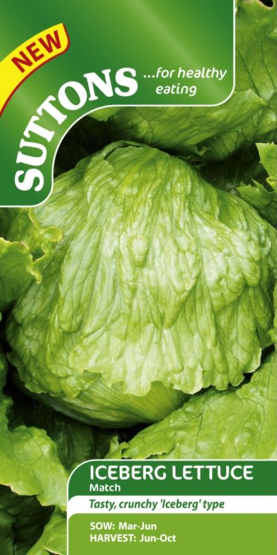 Suttons Iceberg Lettuce Match