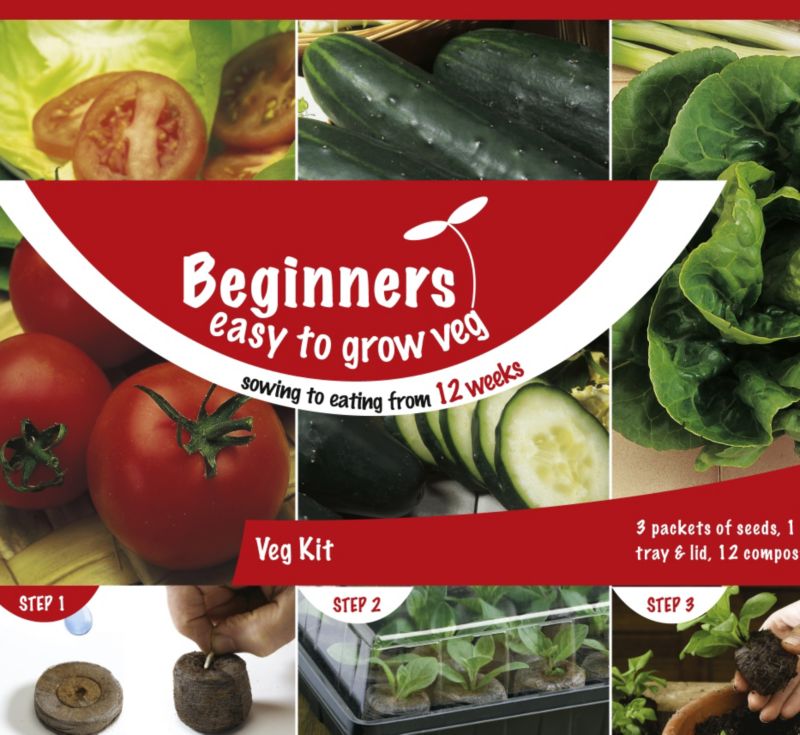 Beginners Collection Vegetables