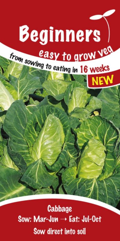 Suttons Beginners Cabbage Greyhound