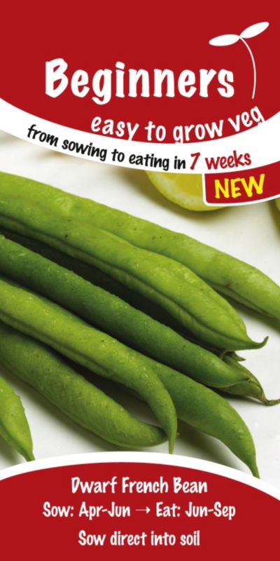 Suttons Beginners Dwarf French Bean Speedy