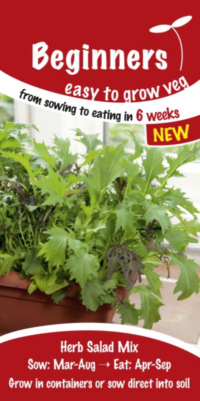 Suttons Beginners Herb Salad Mix