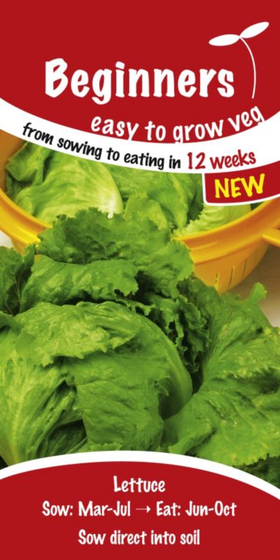 Suttons Beginners Lettuce Webbs Wonderful