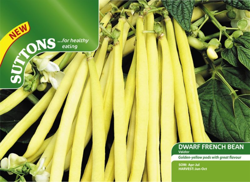 Suttons Dwarf French Bean Valdor