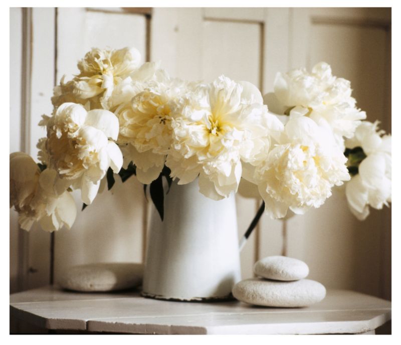 Colours By BandQ Printed Canvas White Vases W70 x L60cm