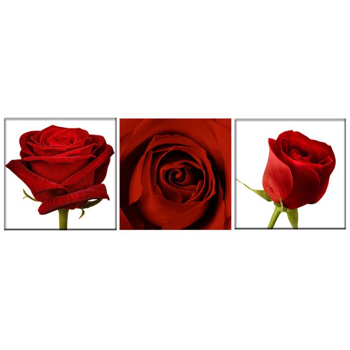 Colours By BandQ Box Art Red Roses W20 x L60cm