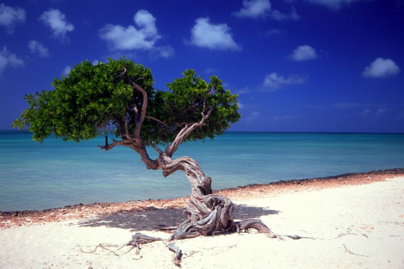 Deserted Island Print W60 x L80cm