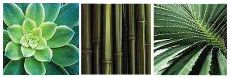 Alternative image for Box Art Tropical Leaves Set Of 3 47x47cm