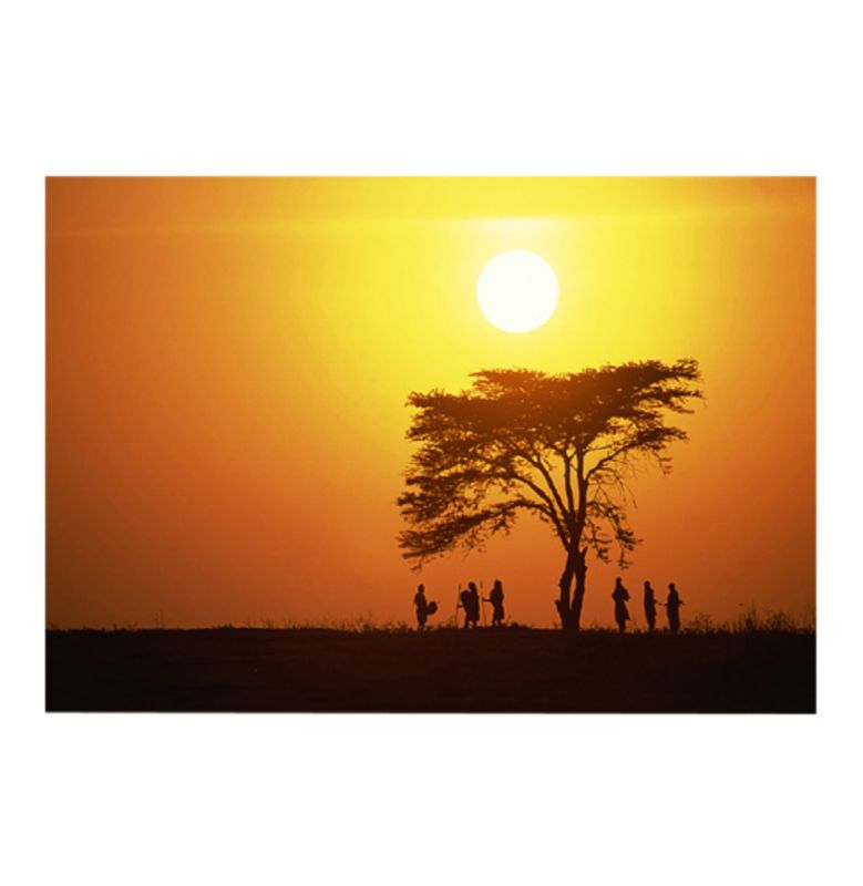 Acacia Tree Printed Canvas Multicoloured 60x40cm