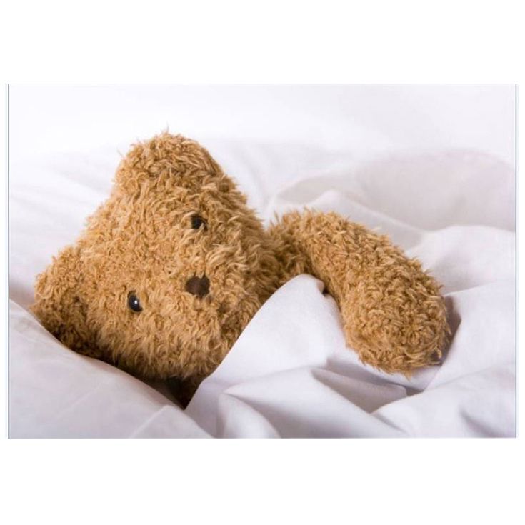 Ted In Bed Printed Canvas Neutral 60x40cm