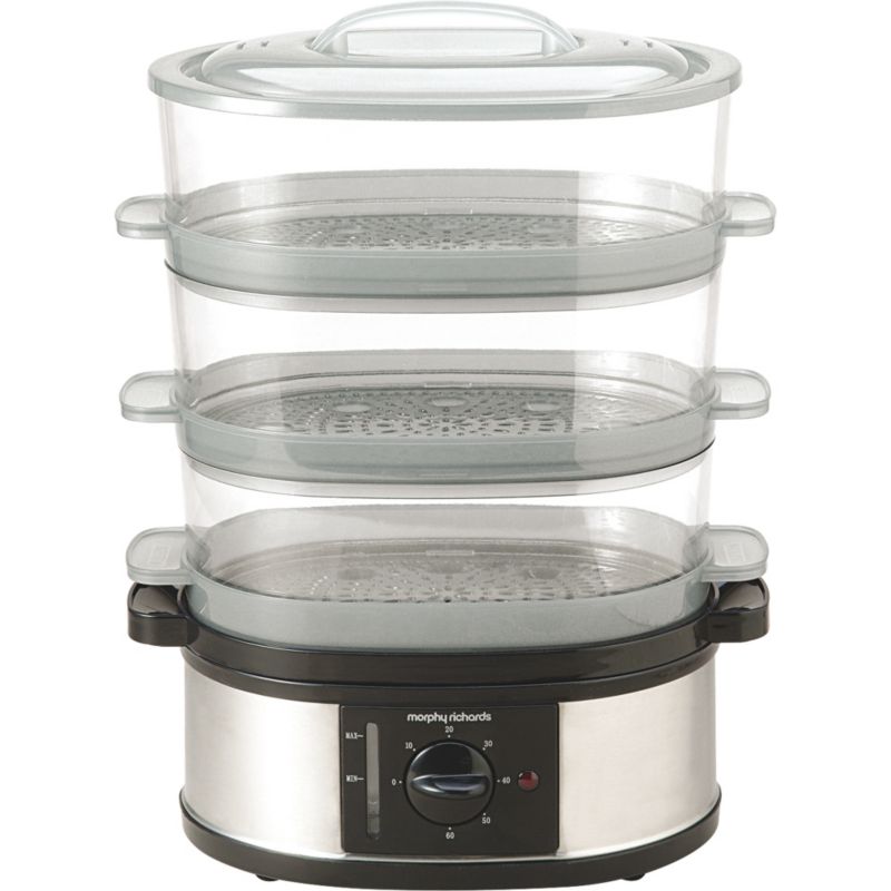 Morphy Richards Steamer 48755 Polished Steel