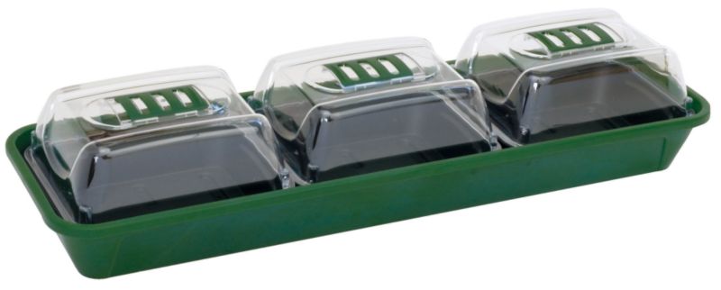 Sankey Windowsill Herb Kit 1603 Green