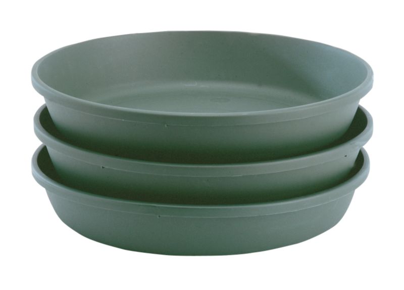 30cm Universal Saucer Green Deep