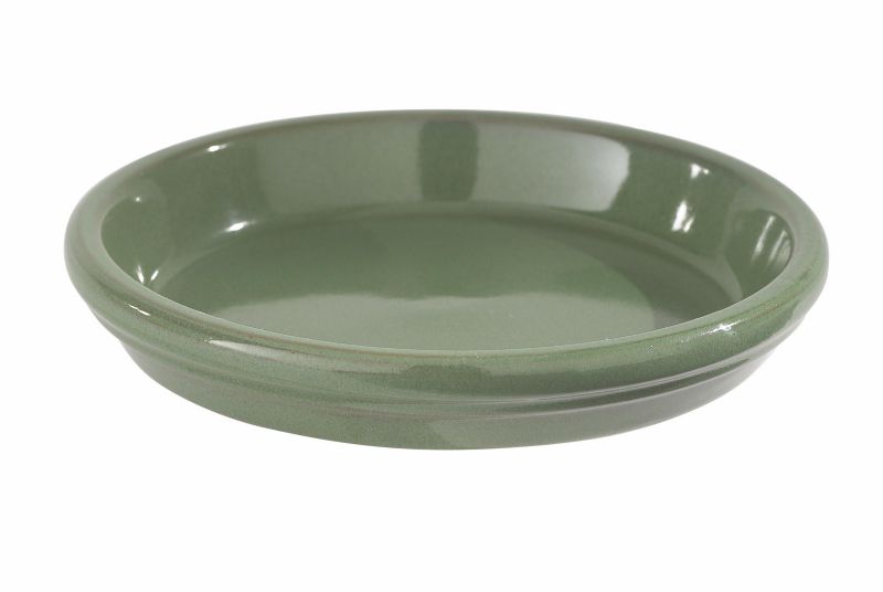 Saucer Malay - 25cm