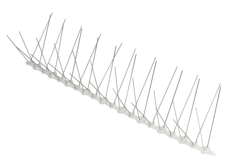 Procter Bird Spikes Pack of 10