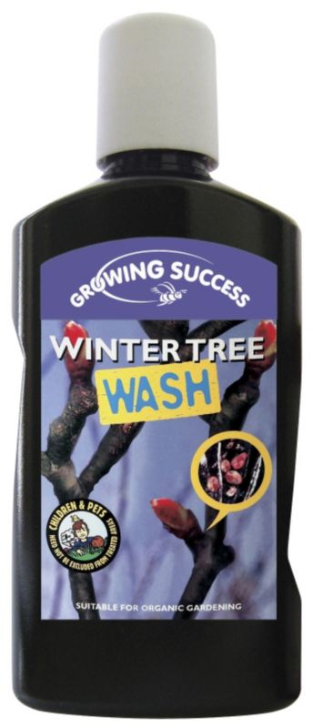 Winter Tree Wash