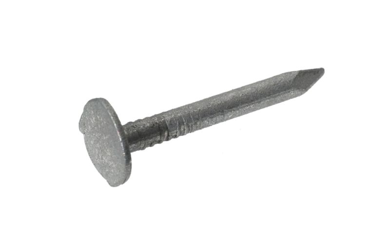 Clout Nail AVF-850431(W)3mm x (L)30mm