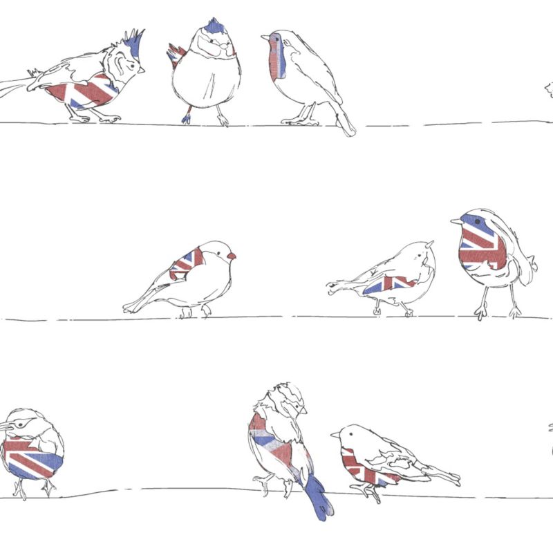Statement Birds of a Feather Feature Wallpaper RedBlue 10m