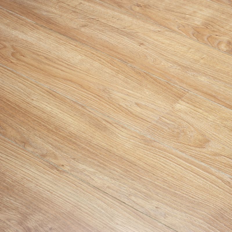Venice Oak Effect