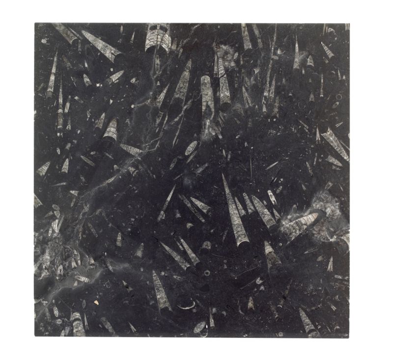 BampQ Fossil Antique Marble 27855102 Black