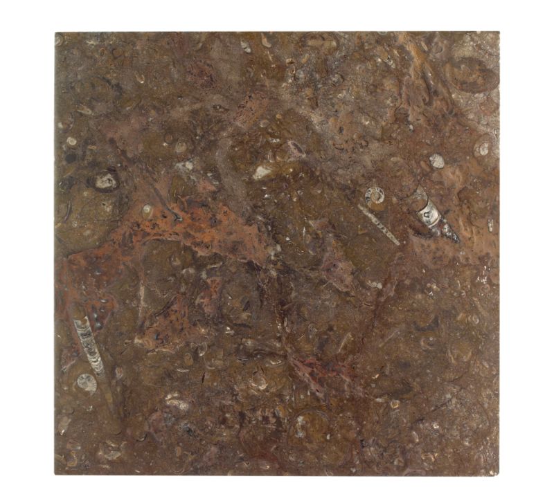 BampQ Fossil Antique Marble 27855119 Brown