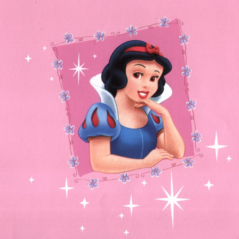 all princesses disney. Disney Princess Wallcovering